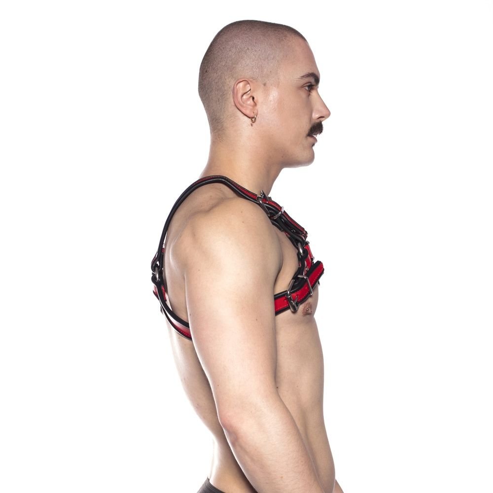 Prowler RED Bull Harness Black/Red M - Image 2